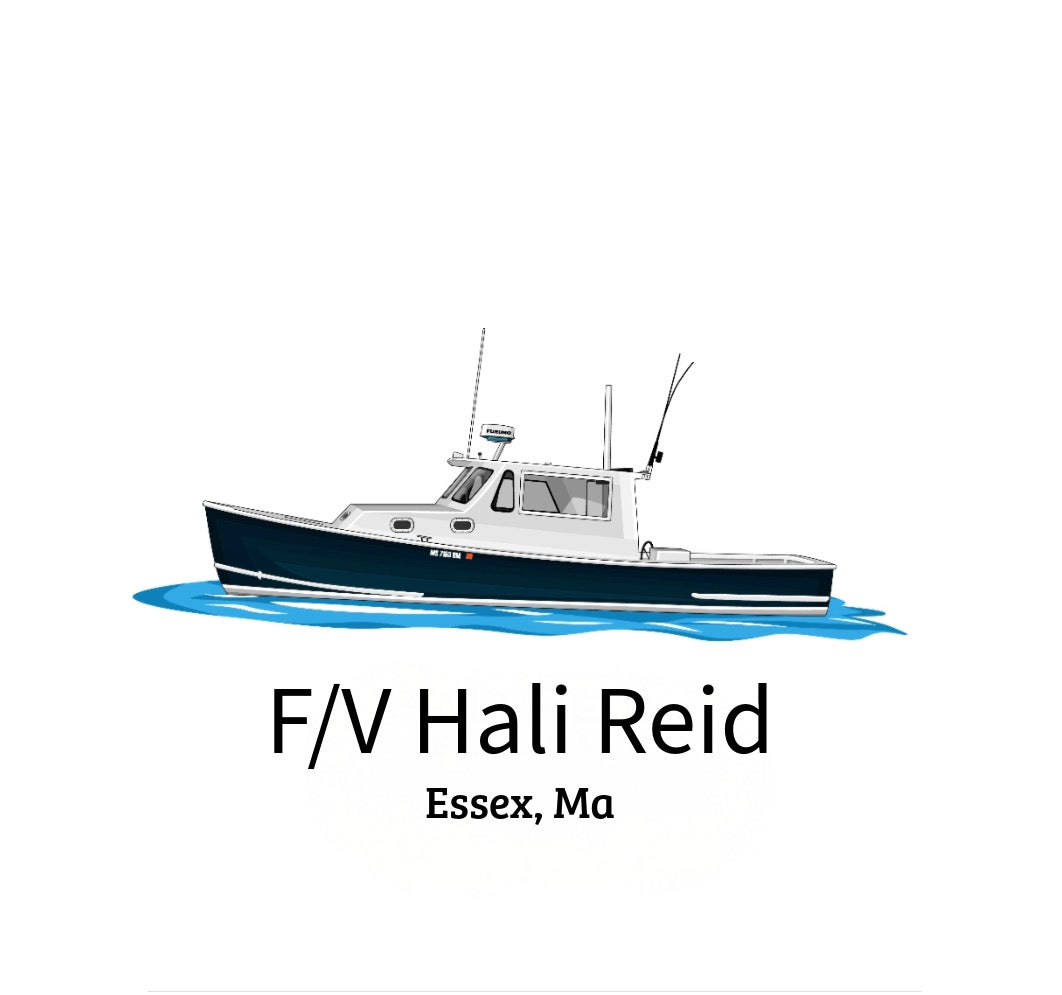 Hali Reid Merch Package