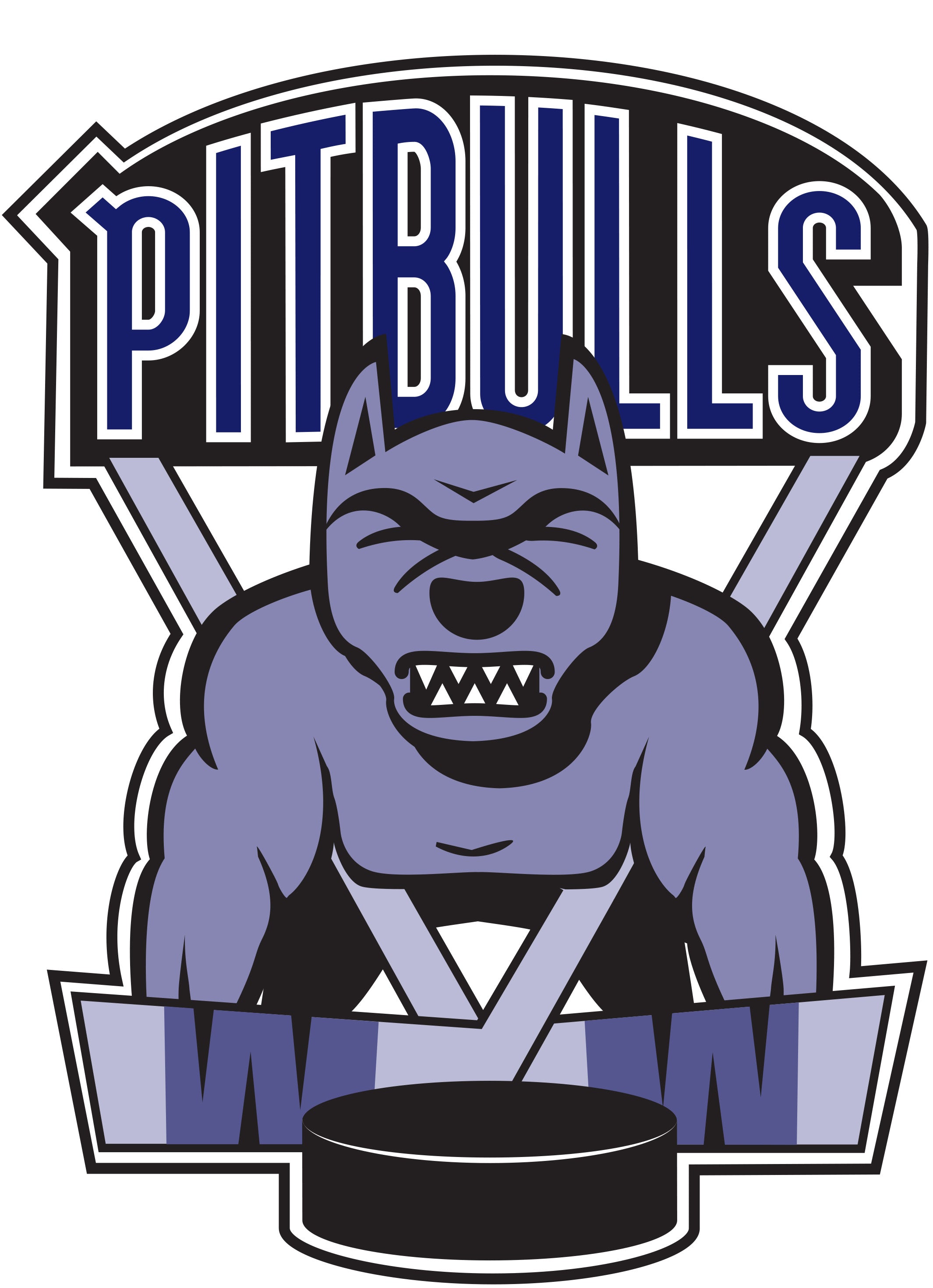 Pittbulls Custom Logo  NuBlend® Pullover Hooded Sweatshirt